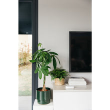 Φόρτωση εικόνας στο εργαλείο προβολής Συλλογής, Connectivity Kit για Έξυπνο σπίτι