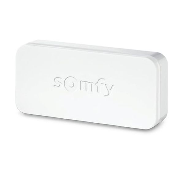 Ανιχνευτής Ανοίγματος IntelliTag (Somfy protect)